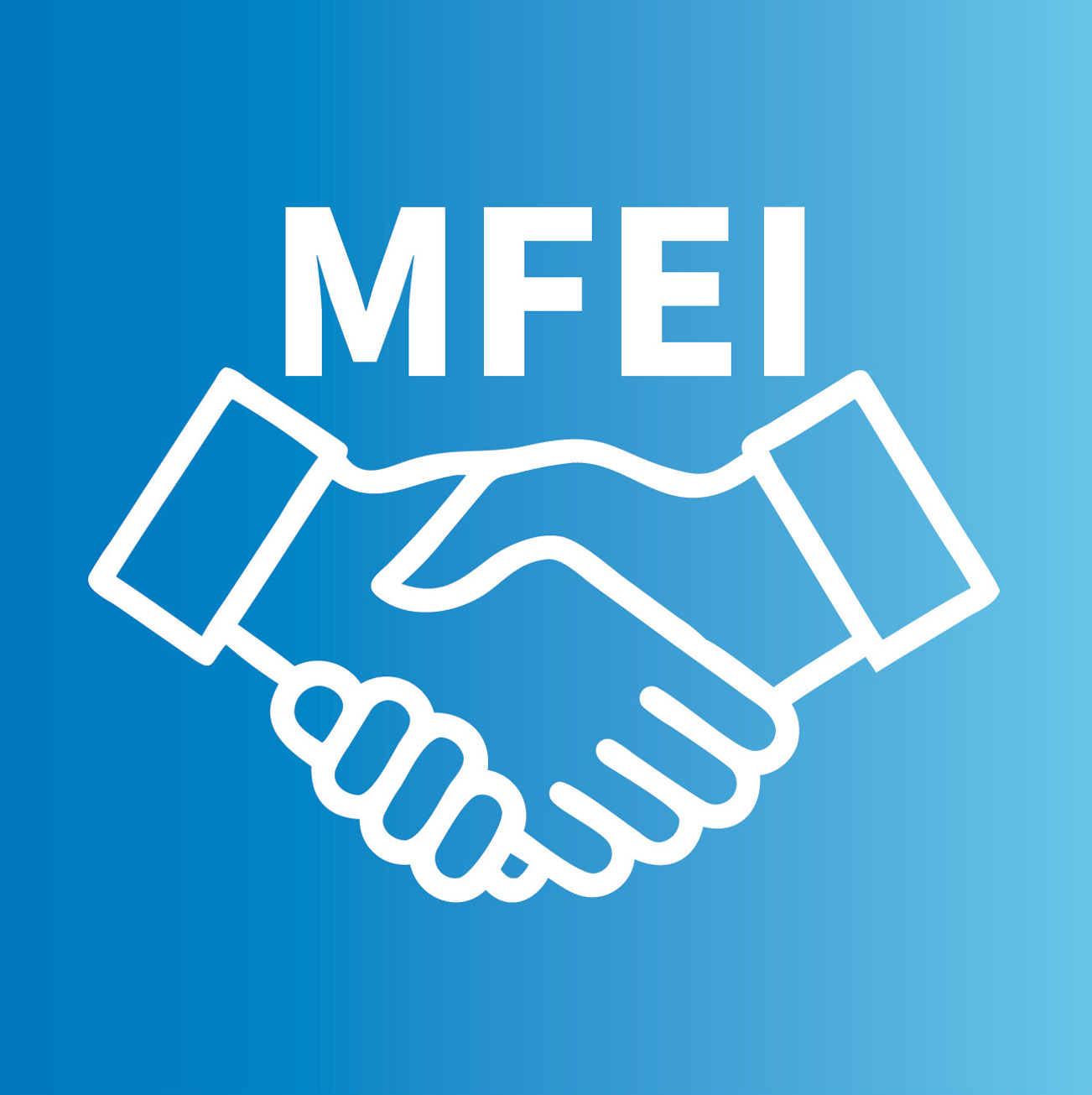 MFEI - Music, Film and Entertainment Industry